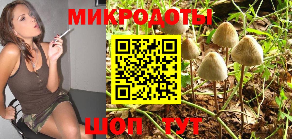 Майкоп  Псилоцибиновые грибы Psilocybine cubensis  Вход с VPN 